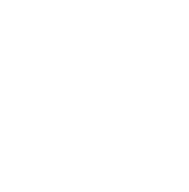 A circle of magic runes